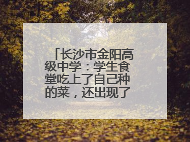 长沙市金阳高级中学：学生食堂吃上了自己种的菜，还出现了一批劳动能手
