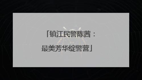 镇江民警陈茜：最美芳华绽警营