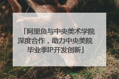 阿里鱼与中央美术学院深度合作，助力中央美院毕业季IP开发创新