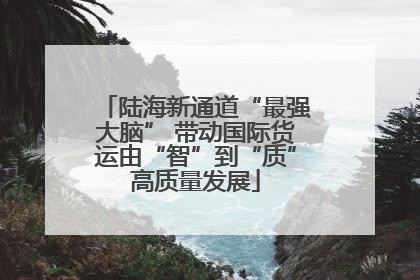 陆海新通道“最强大脑” 带动国际货运由“智”到“质”高质量发展