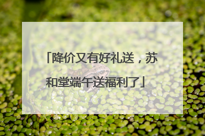 降价又有好礼送，苏和堂端午送福利了