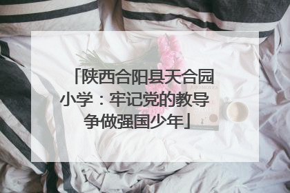 陕西合阳县天合园小学：牢记党的教导 争做强国少年