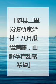 随县三里岗镇贾家湾村：八月瓜缀满藤，山野孕育甜蜜希望