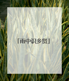 雨中识乡贤