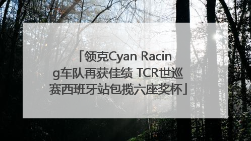 领克Cyan Racing车队再获佳绩 TCR世巡赛西班牙站包揽六座奖杯