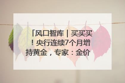 风口智库｜买买买！央行连续7个月增持黄金，专家：金价或仍易涨难跌