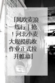 风吹麦浪一线行｜抢！河北小麦大规模机收作业正式拉开帷幕