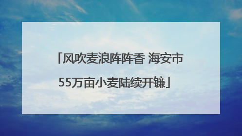 风吹麦浪阵阵香 海安市55万亩小麦陆续开镰
