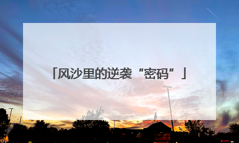 风沙里的逆袭“密码”