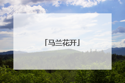 马兰花开