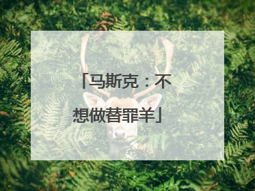 马斯克：不想做替罪羊