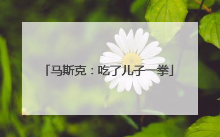 马斯克：吃了儿子一拳