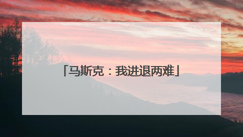 马斯克：我进退两难