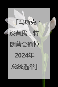 马斯克：没有我，特朗普会输掉2024年总统选举