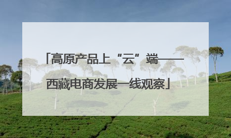 高原产品上“云”端——西藏电商发展一线观察