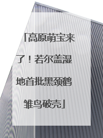 高原萌宝来了！若尔盖湿地首批黑颈鹤雏鸟破壳