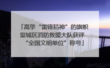 高擎“雷锋精神”的旗帜 望城区消防救援大队获评“全国文明单位”称号