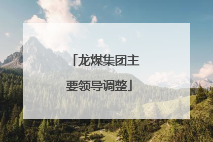 龙煤集团主要领导调整