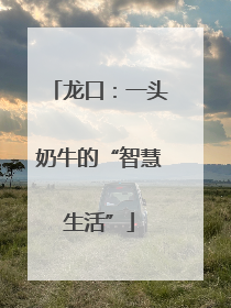 龙口：一头奶牛的“智慧生活”