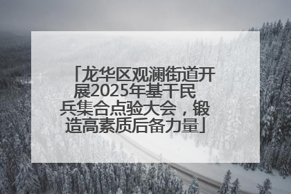 龙华区观澜街道开展2025年基干民兵集合点验大会，锻造高素质后备力量