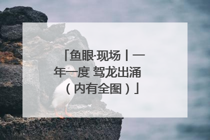鱼眼·现场丨一年一度 驾龙出涌（内有全图）