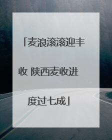 麦浪滚滚迎丰收 陕西麦收进度过七成