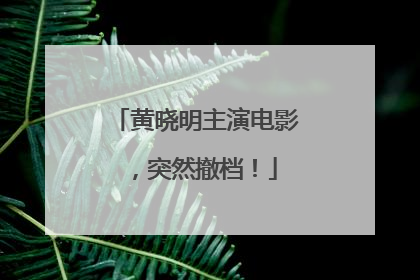 黄晓明主演电影，突然撤档！