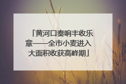 黄河口奏响丰收乐章——全市小麦进入大面积收获高峰期