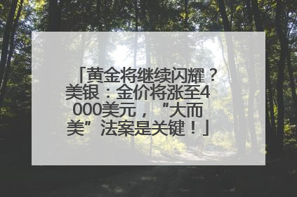 黄金将继续闪耀？美银：金价将涨至4000美元，“大而美”法案是关键！