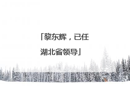 黎东辉，已任湖北省领导