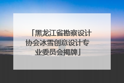 黑龙江省勘察设计协会冰雪创意设计专业委员会揭牌