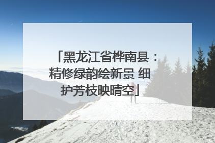 黑龙江省桦南县：精修绿韵绘新景 细护芳枝映晴空