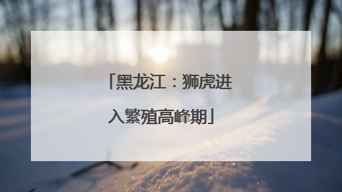 黑龙江：狮虎进入繁殖高峰期