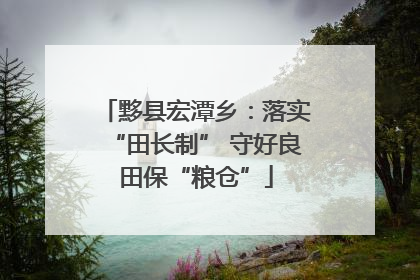 黟县宏潭乡：落实“田长制” 守好良田保“粮仓”