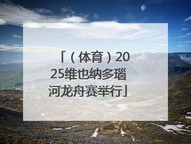（体育）2025维也纳多瑙河龙舟赛举行