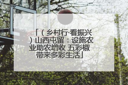 （乡村行·看振兴）山西屯留：设施农业助农增收 五彩椒带来多彩生活