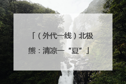 （外代一线）北极熊：清凉一“夏”