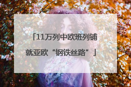 11万列中欧班列铺就亚欧“钢铁丝路”