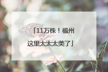 11万株！福州这里太太太美了