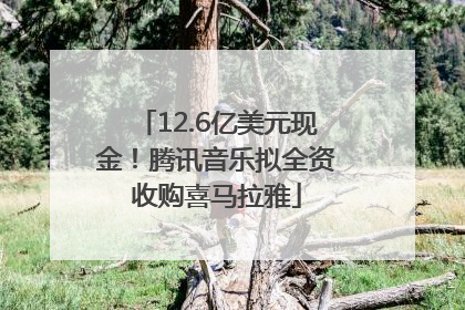 12.6亿美元现金！腾讯音乐拟全资收购喜马拉雅