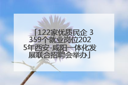 122家优质民企 3359个就业岗位2025年西安-咸阳一体化发展联合招聘会举办