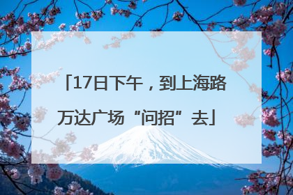 17日下午，到上海路万达广场“问招”去