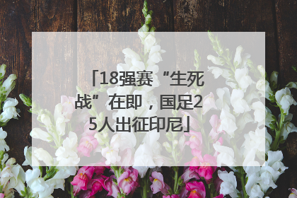 18强赛“生死战”在即，国足25人出征印尼