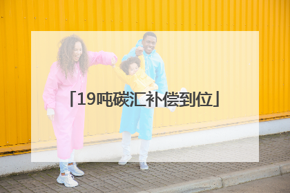 19吨碳汇补偿到位