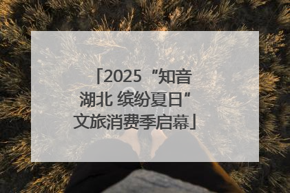 2025“知音湖北 缤纷夏日”文旅消费季启幕