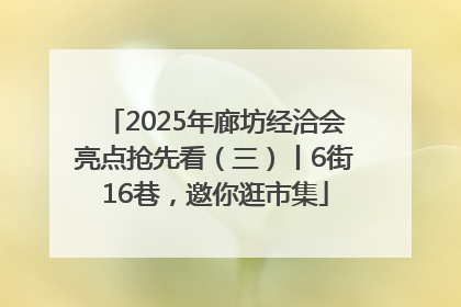 2025年廊坊经洽会亮点抢先看（三）丨6街16巷，邀你逛市集