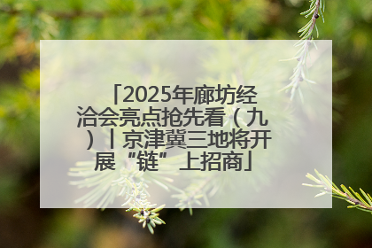 2025年廊坊经洽会亮点抢先看（九）丨京津冀三地将开展“链”上招商