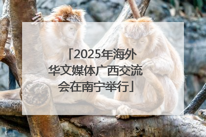 2025年海外华文媒体广西交流会在南宁举行