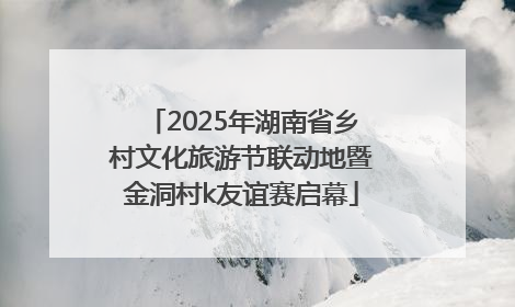 2025年湖南省乡村文化旅游节联动地暨金洞村k友谊赛启幕