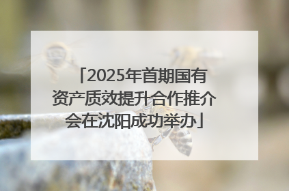 2025年首期国有资产质效提升合作推介会在沈阳成功举办